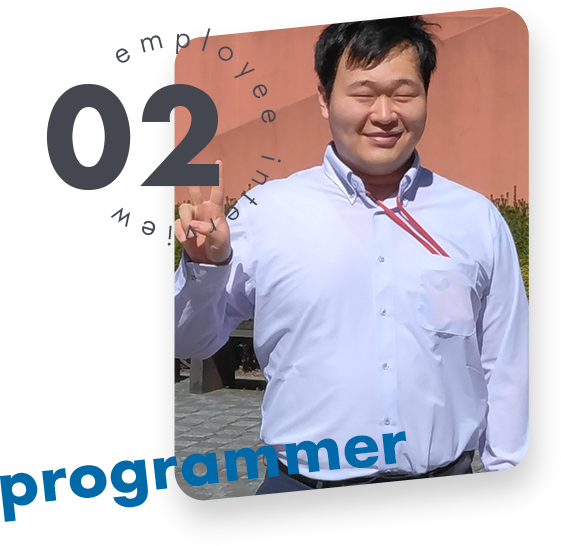 programmer